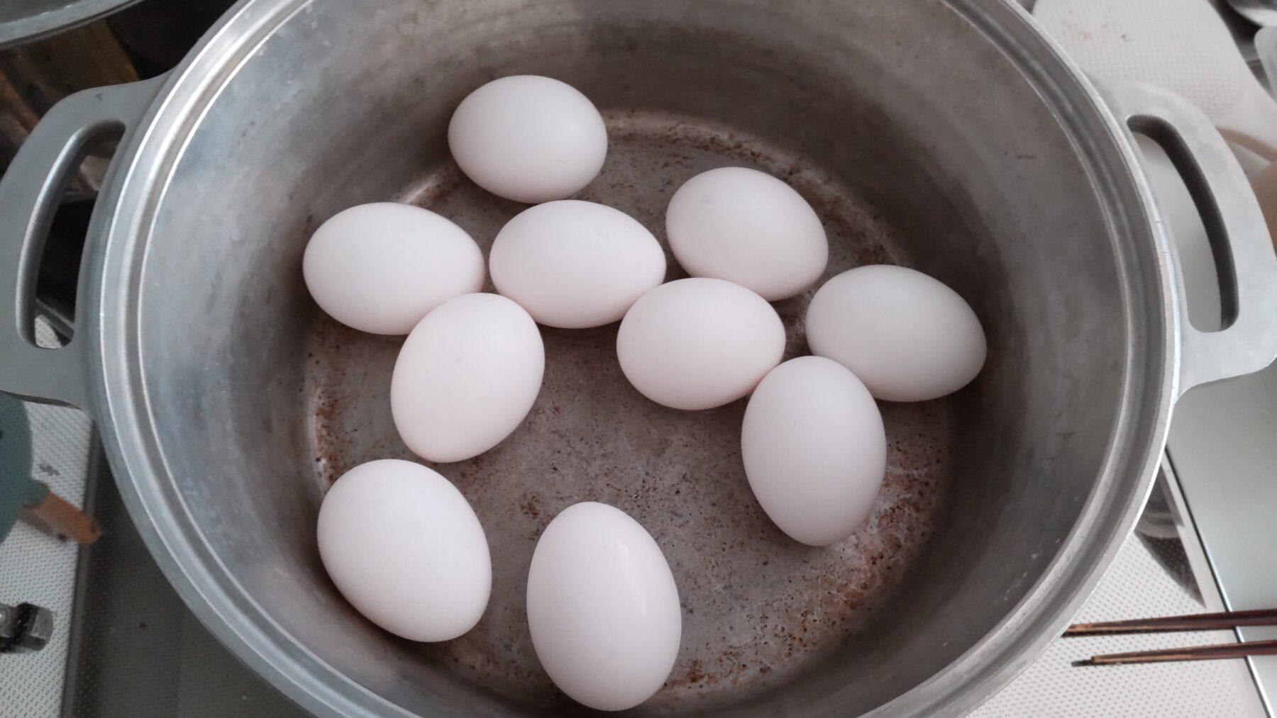鍋に入った卵10個