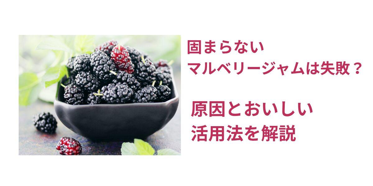 固まらないマルベリージャムは失敗？原因とおいしい活用法を解説見出しを追加