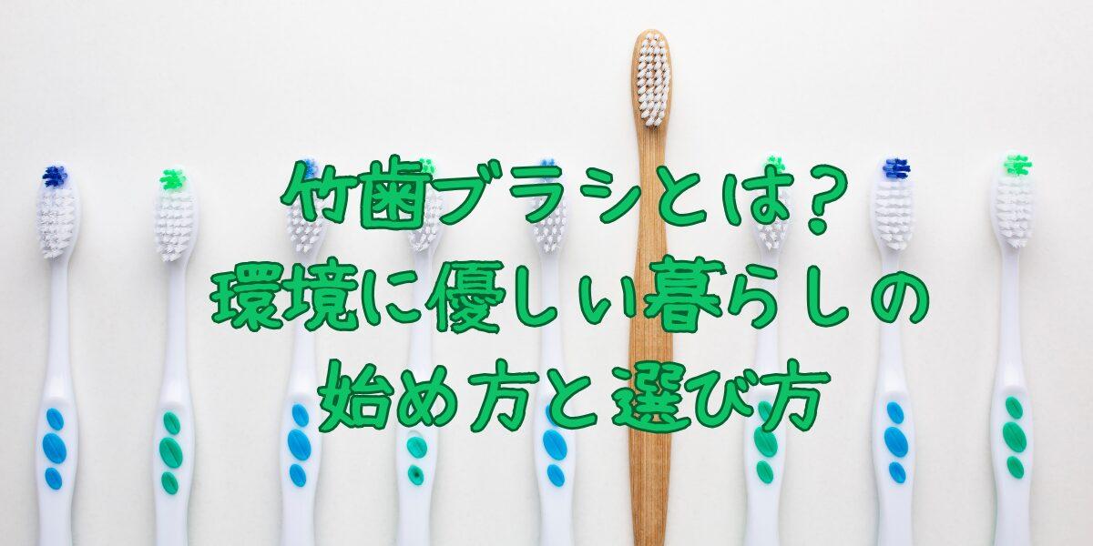 竹歯ブラシとは？環境に優しい暮らしの始め方と選び方