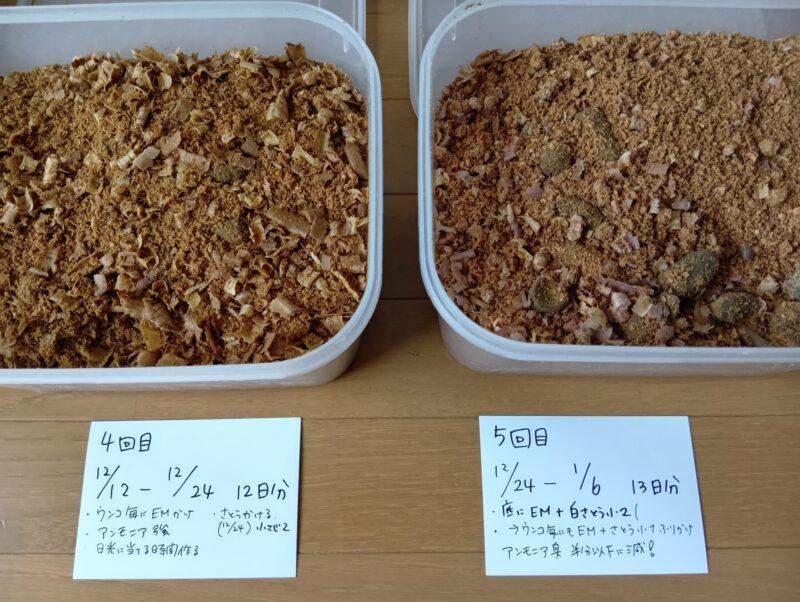 12日分と13日分の猫フンとおかくずが入ったタッパーを上から撮った様子