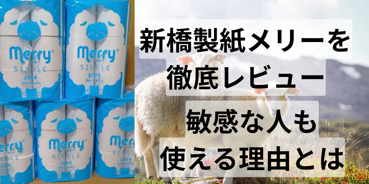 新橋製紙メリーを徹底レビュー｜敏感な人も使える理由とは