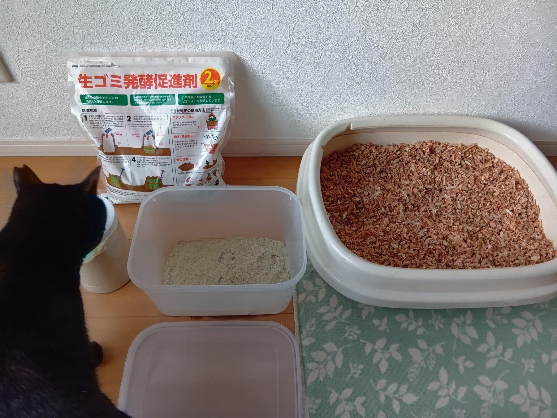 猫トイレと一緒に映っている黒猫の後ろ姿