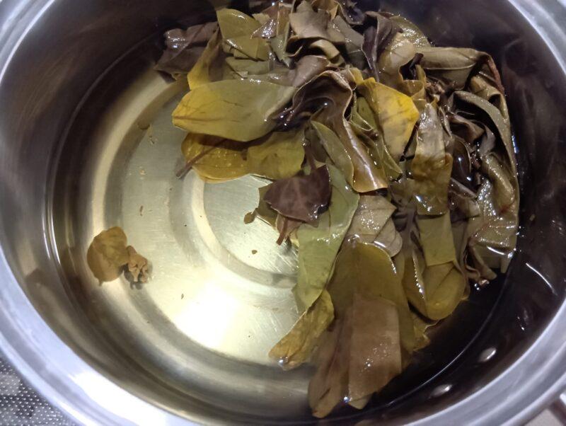 鍋で柿の葉茶を煮出した様子