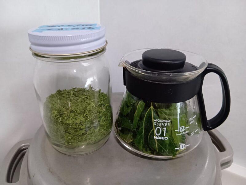 コーヒーサーバーに入った桑の葉茶