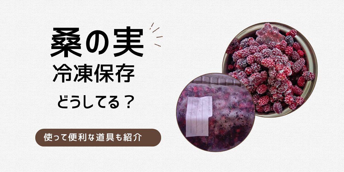 桑の実は冷凍保存できる？我が家で続けている保存方法と便利だった道具