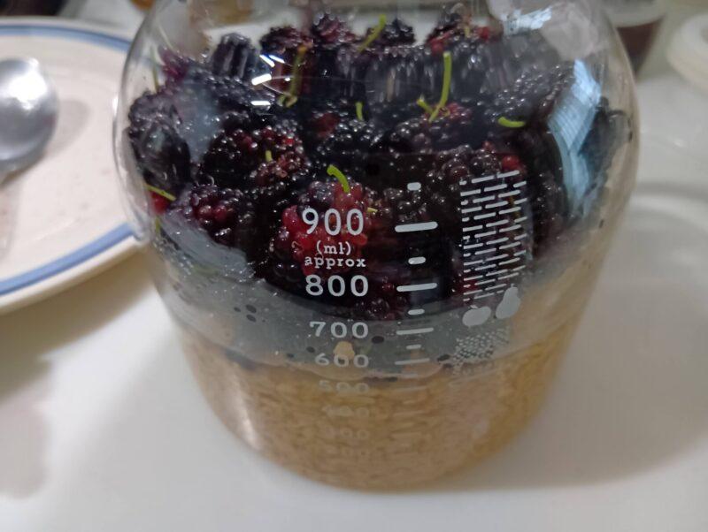 米麹・桑の実・酢を重ねた仕込み直後の様子