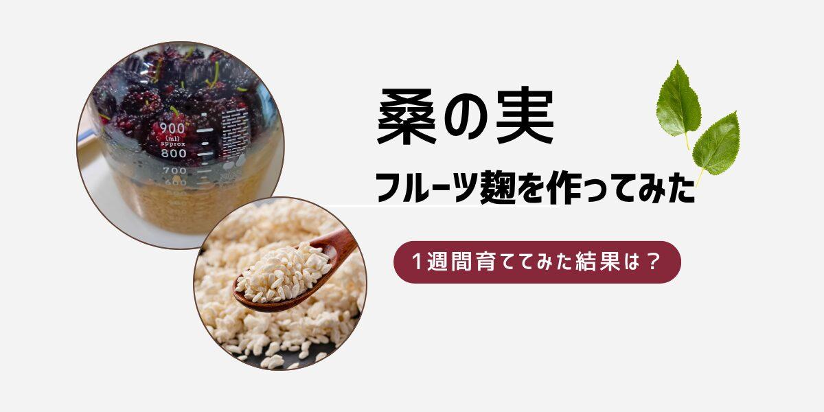 桑の実でフルーツ麹を作ってみた｜白米麹と玄米麹を1週間育てた結果