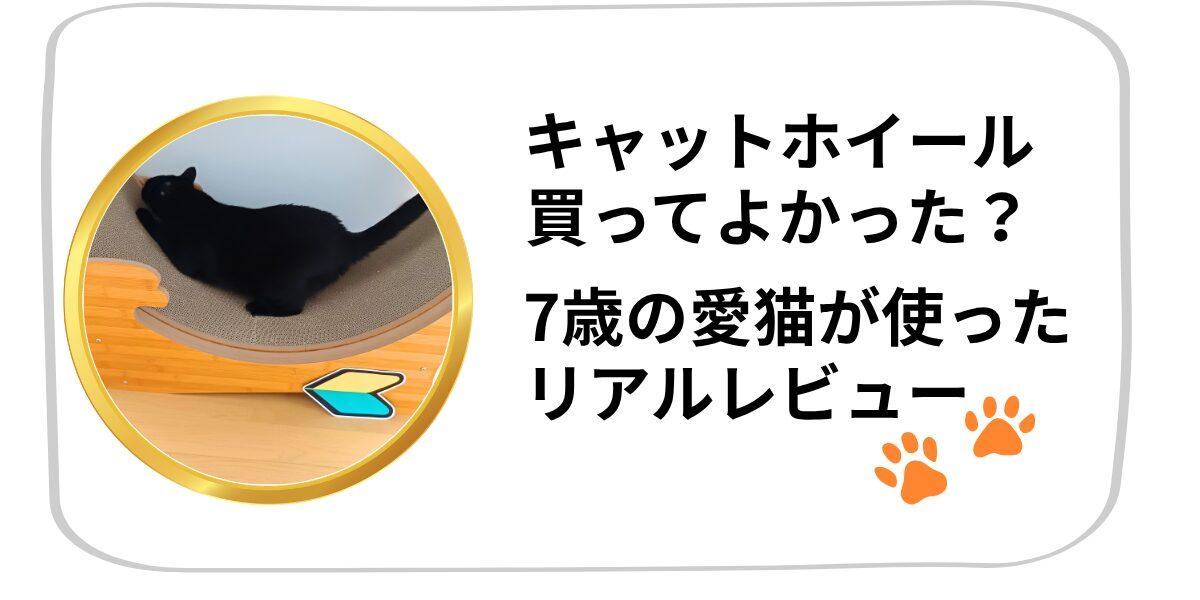 キャットホイールは猫の運動不足におすすめ？組み立てから使い心地までレビュー